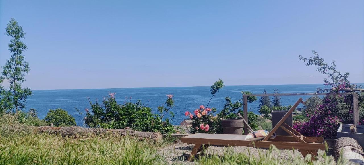 Villa Magnolia Santa-Maria-di-Lota Zewnętrze zdjęcie