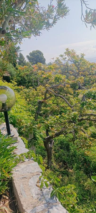 Villa Magnolia Santa-Maria-di-Lota Zewnętrze zdjęcie